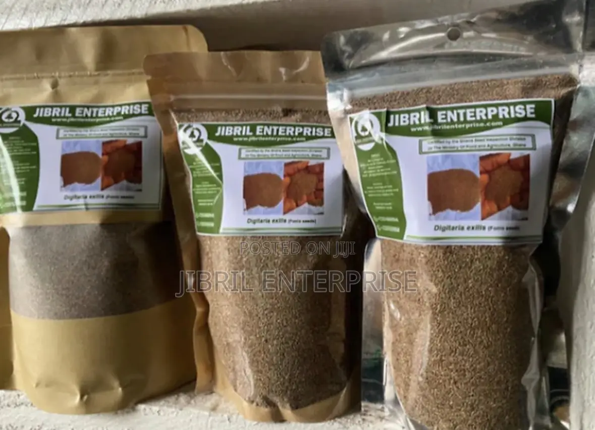 Fonio(Digitaria Exilis)Seeds For Planting, 1kg / 70gh