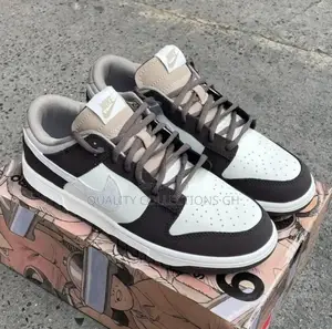 Nike Low Dunk Brown and White
