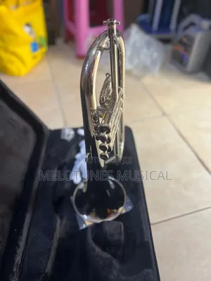 Flugelhorn Male