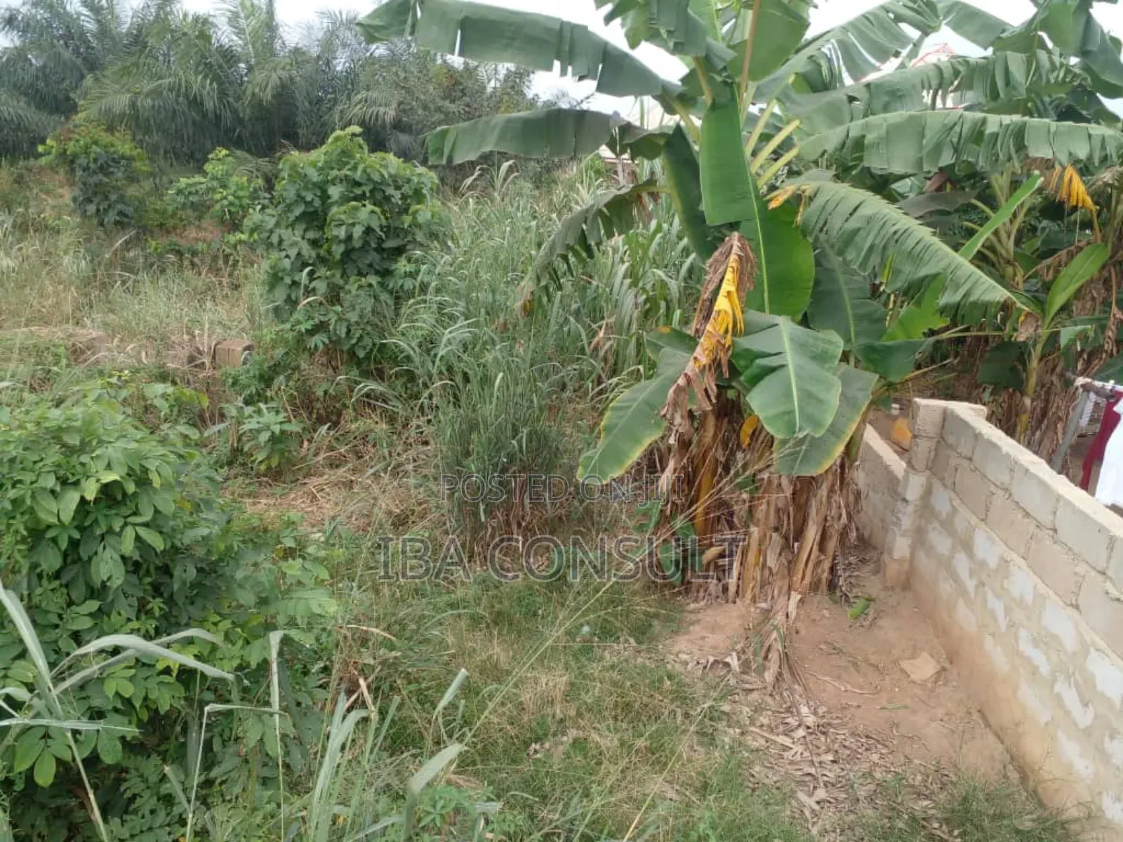 A Plot of Land for Sale at Kumasi Sawua