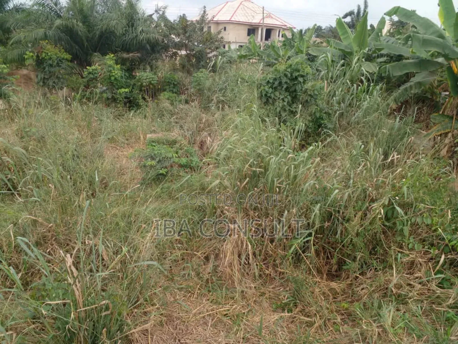 A Plot of Land for Sale at Kumasi Sawua