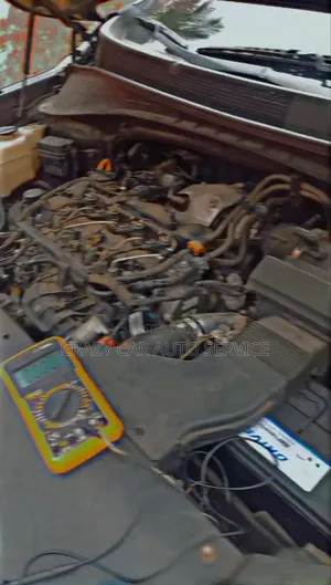 Professional Auto Electrician