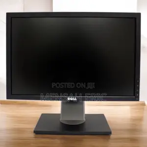 19 Inch Dell Monitor