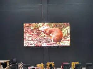 Led Screen Indoors and Outdoor