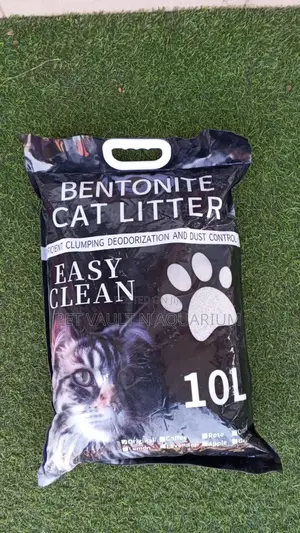 Bentonite Cat Litter