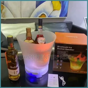 Bluetooth Ice Bucket Speaker