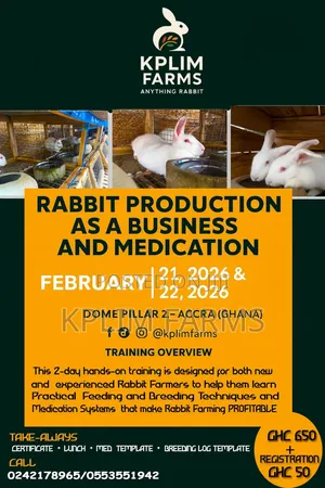 Rabbit Farming Training in Ghana | Profitable Rabbit Business 2026