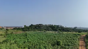 Farmland Winneba Swedru Rd