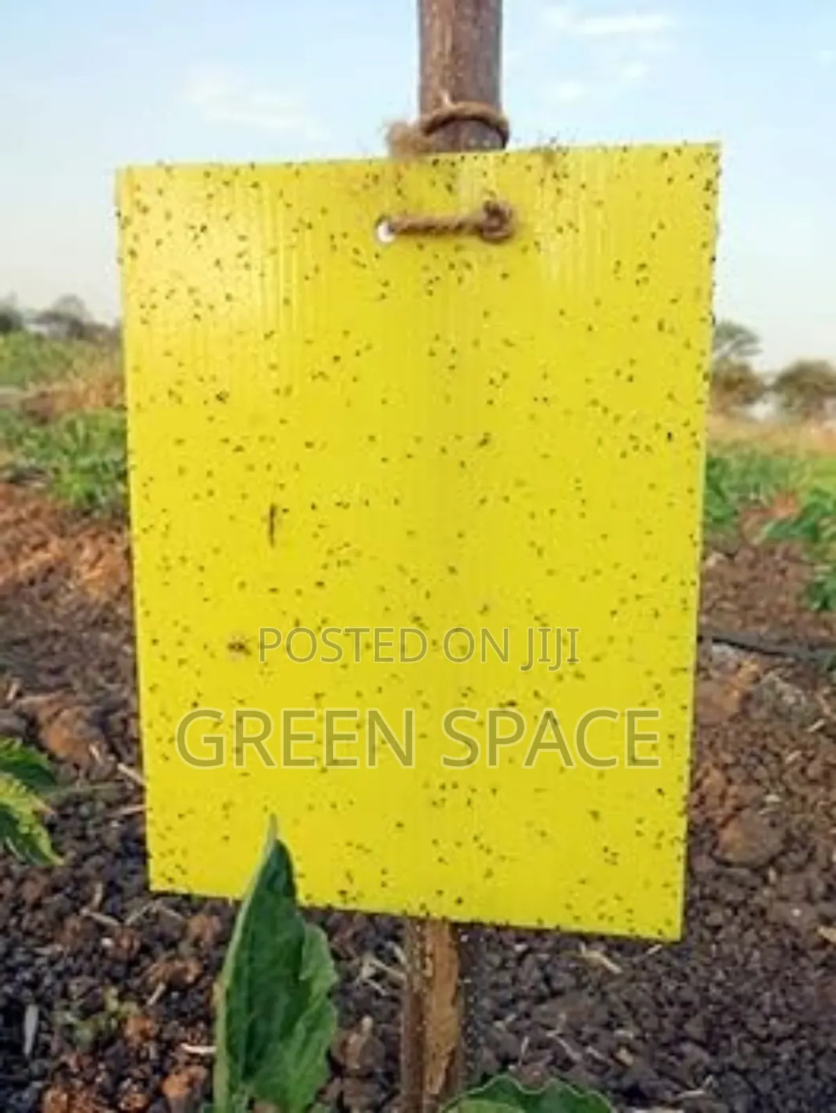 Yellow Sticky Pest Trap