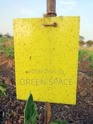 Yellow Sticky Pest Trap