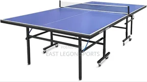 Water Resistant Tt Table Tennis Board Delivery Installation Fibre
