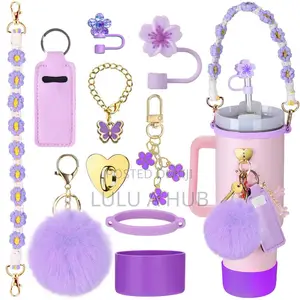 Stanley Cups Accessories