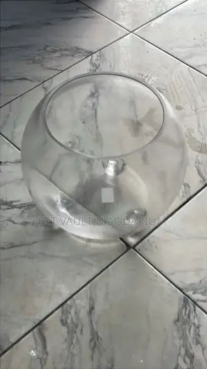 Aquarium Glass Fish Bowl Large