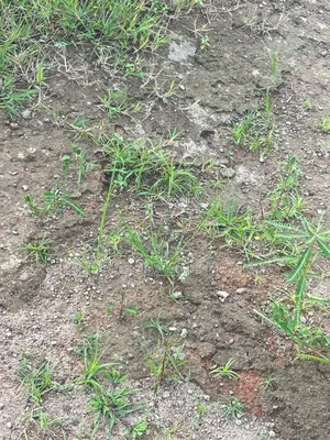 Plot of Land for Sale at Abuakwa Agogo
