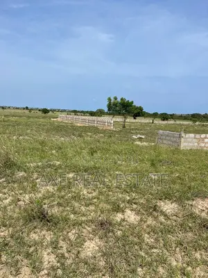 Moderate Prices With Incentives on Lands