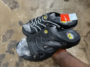 Nike Air Max Tn Slides