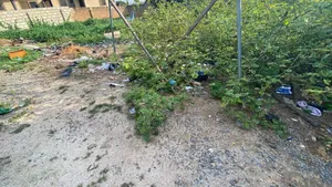One Plot of Land Measuring 80*100 for Sale at Lomnava