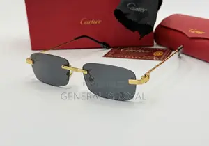 Cartier Rimless, Rectangle-frame Sunglasses With Stainless Steel Hand