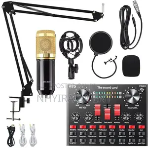 Professional Condenser Microphone