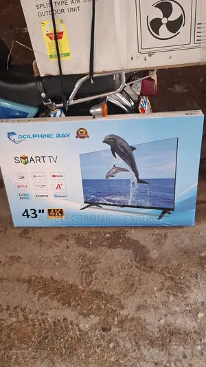 Dolphine Bay 43-Inch Smart Tv