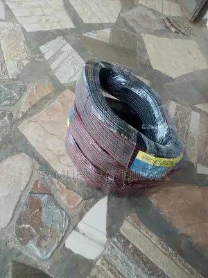 Transparent Red and Black Speaker Cable