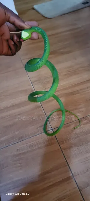 Realistic Green Rubber Snake