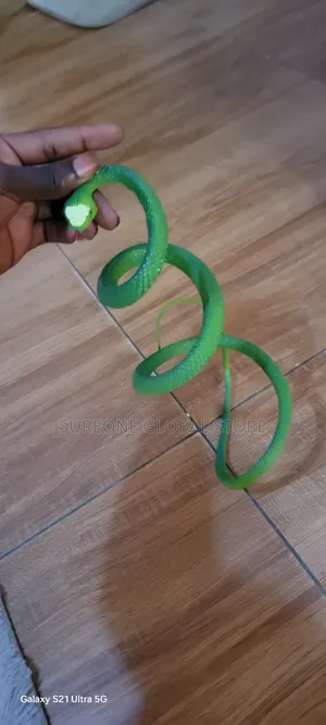 Realistic Green Rubber Snake