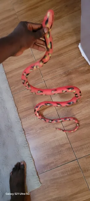Big Size Realistic Python of Cosplay