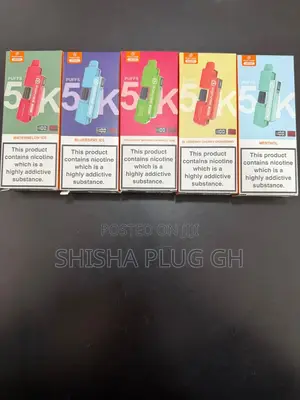 5000 Puff Affordable Vape