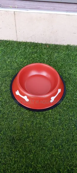 Dog Feeding Bowl