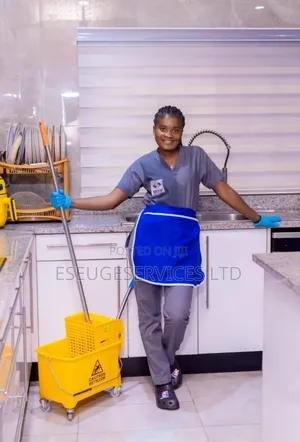 Home Service Cleaning