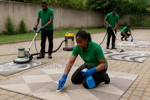 Carpet Cleaning