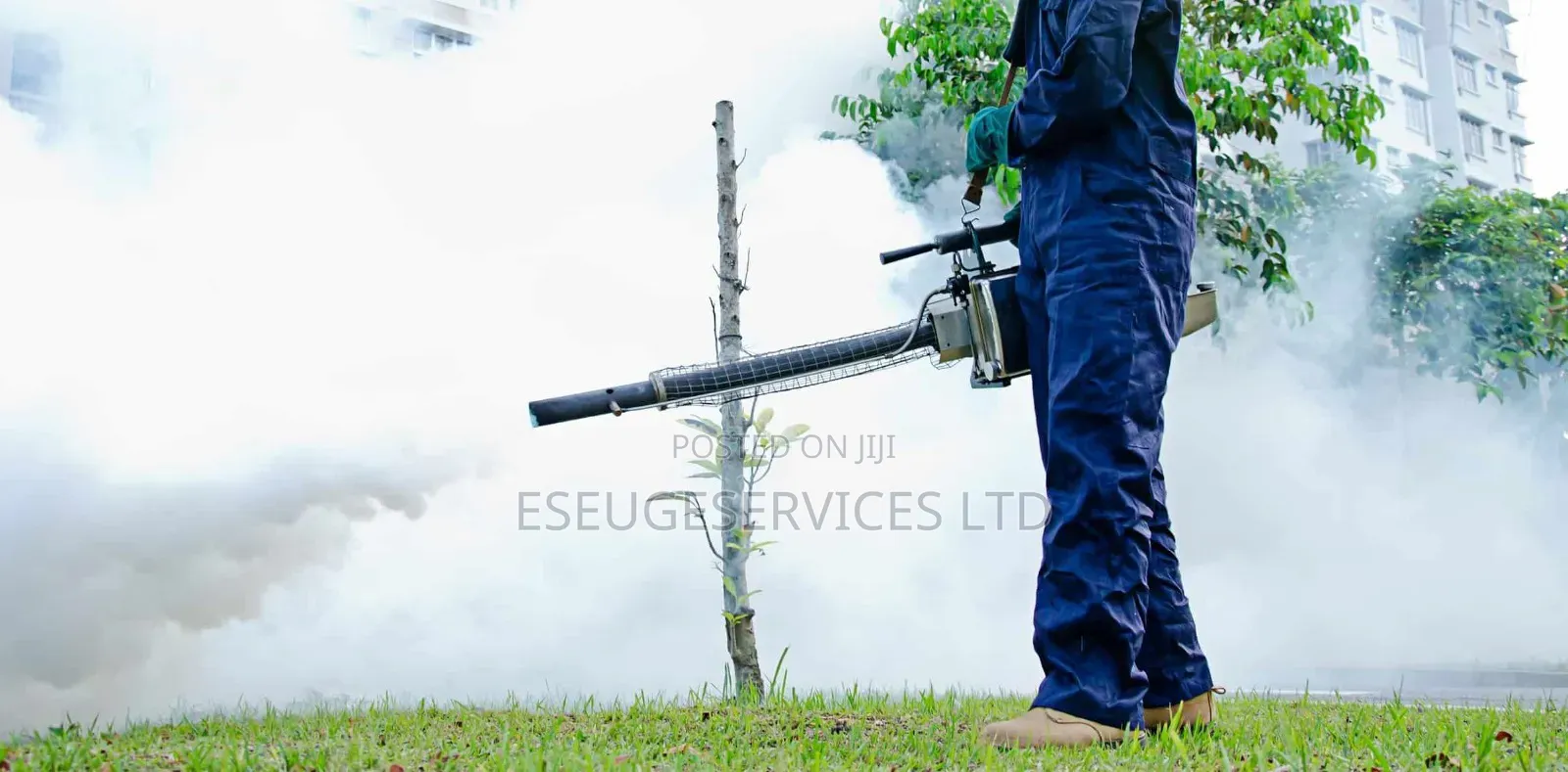 Fumigation And Pest Control