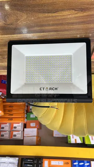 Wall Mounted Light 100w C Torch