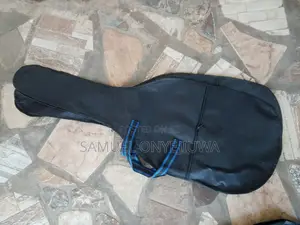 Bass and Lead Guitar Bag