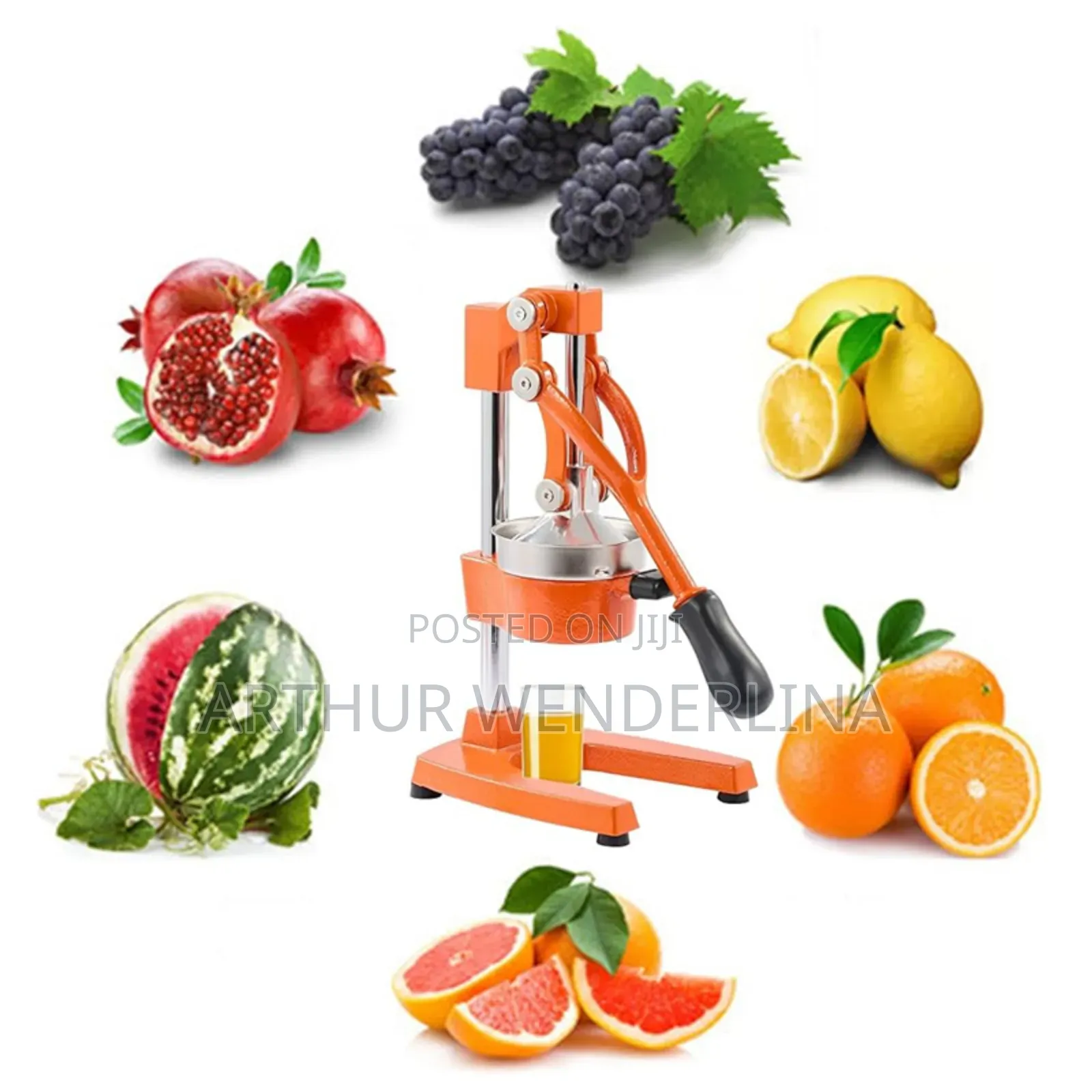 Avinas Hand Juicer
