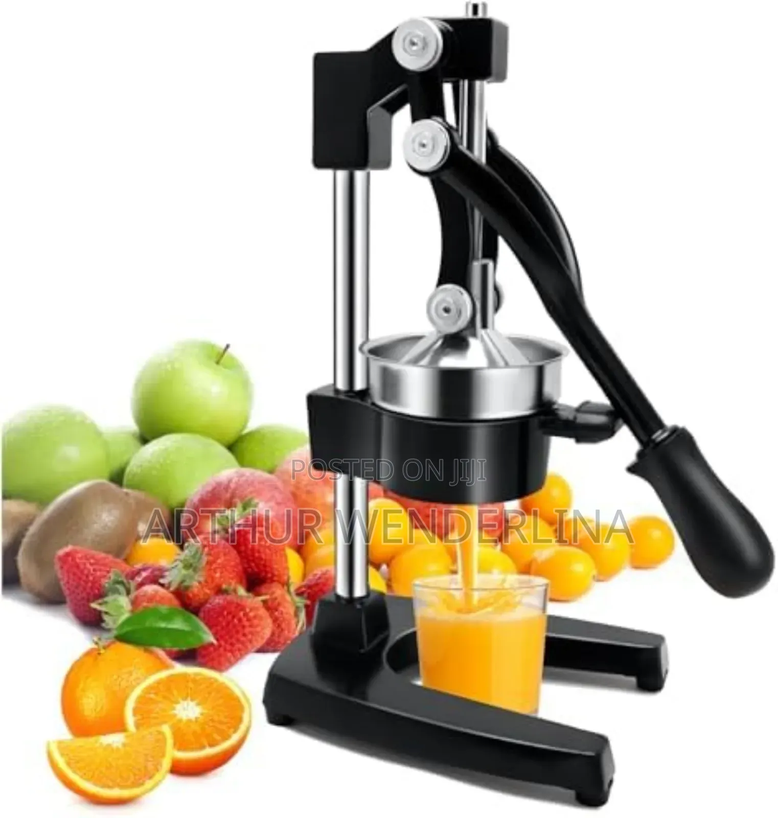 Avinas Hand Juicer