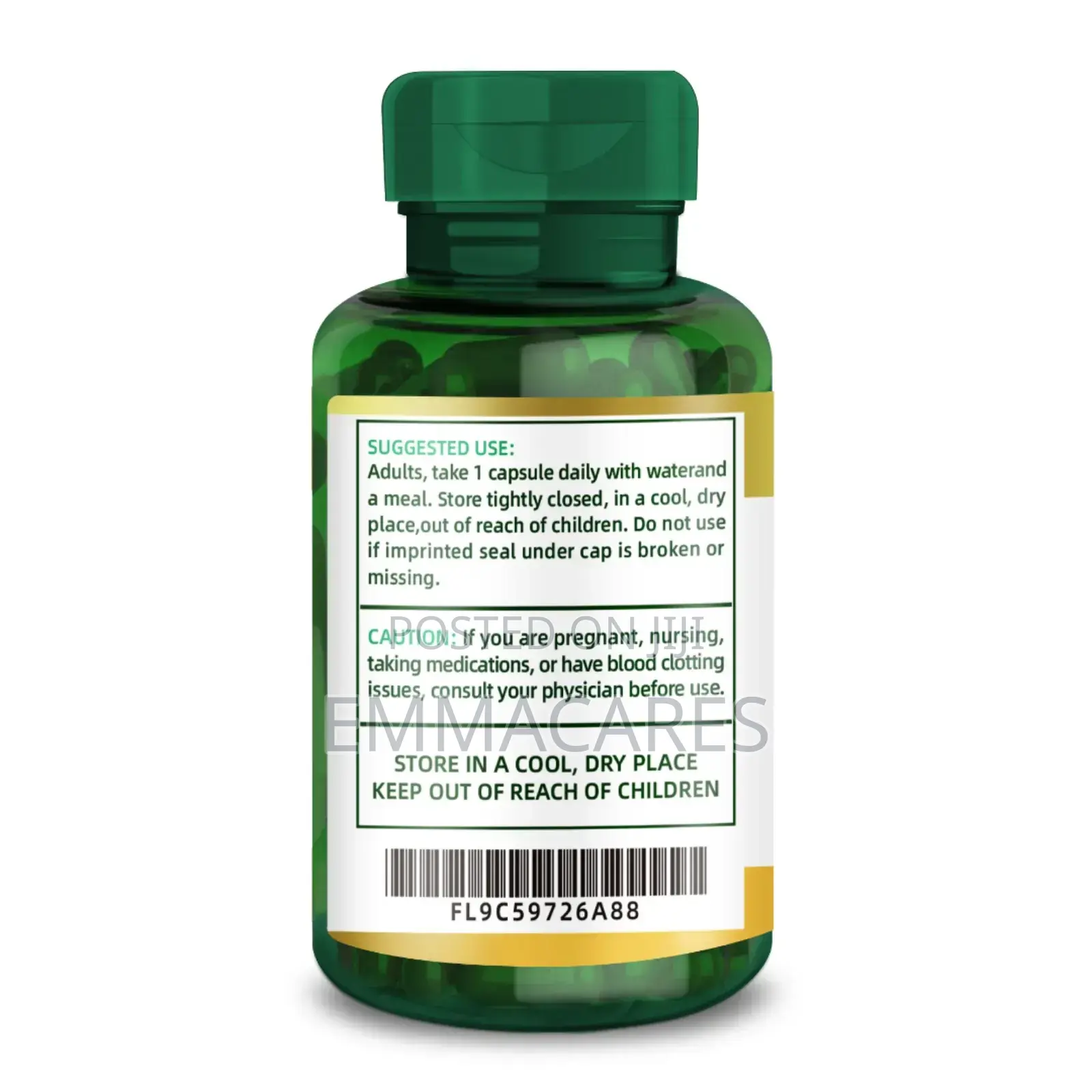 Ginkgo Biloba