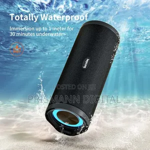 Heysong Reverb Speaker
