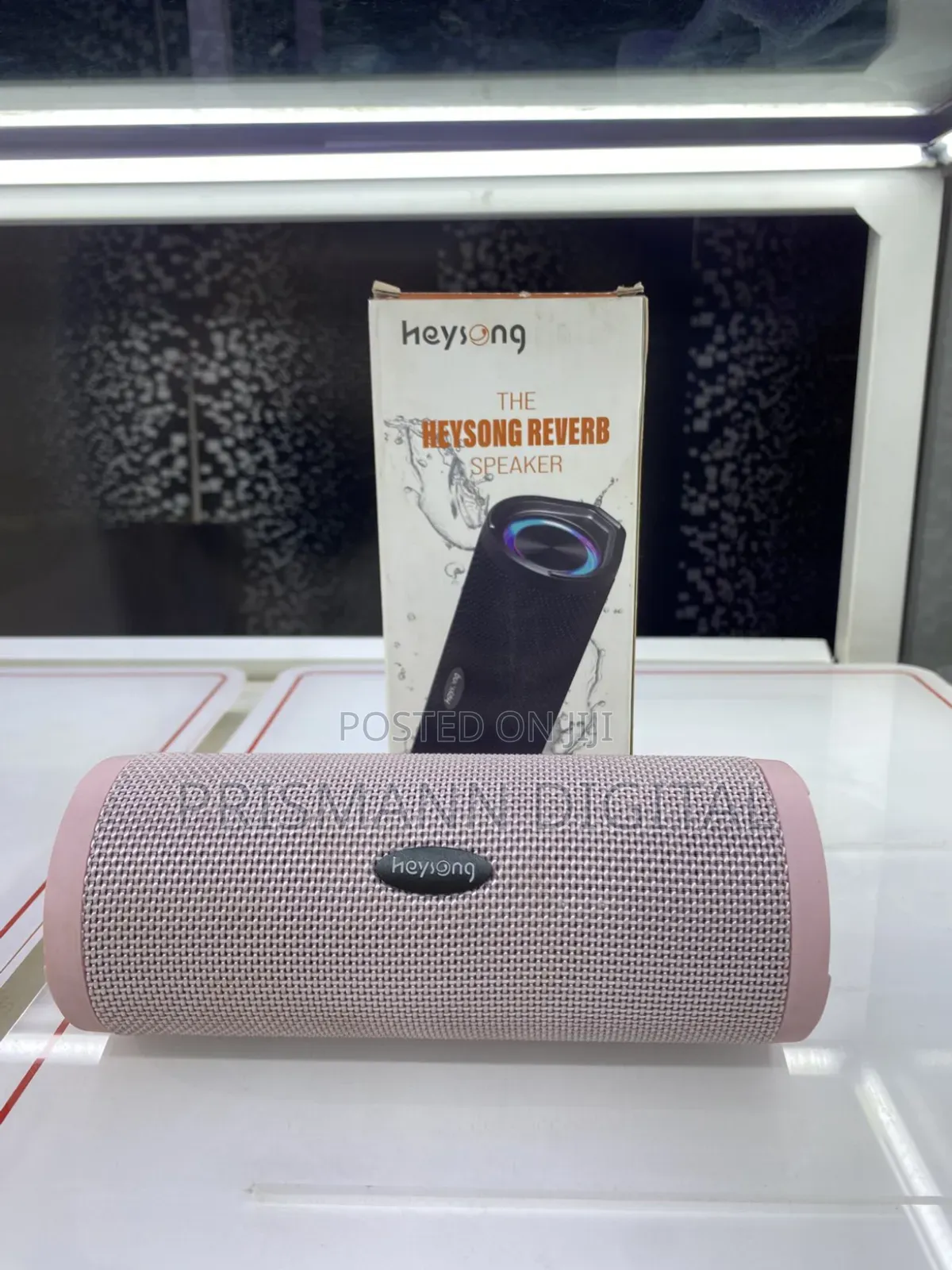 Heysong Reverb Speaker