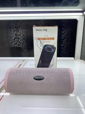 Heysong Reverb Speaker