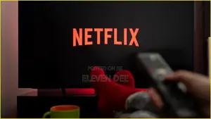 Netflix Account Subscription