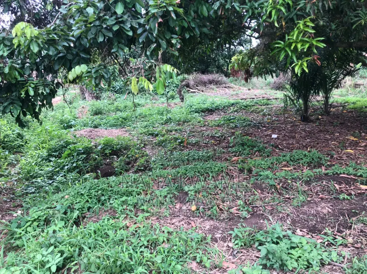 Registered 2 Plots of Land
