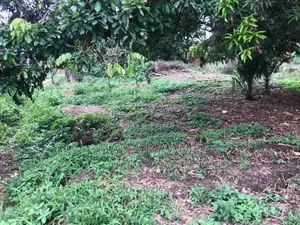 Registered 2 Plots of Land