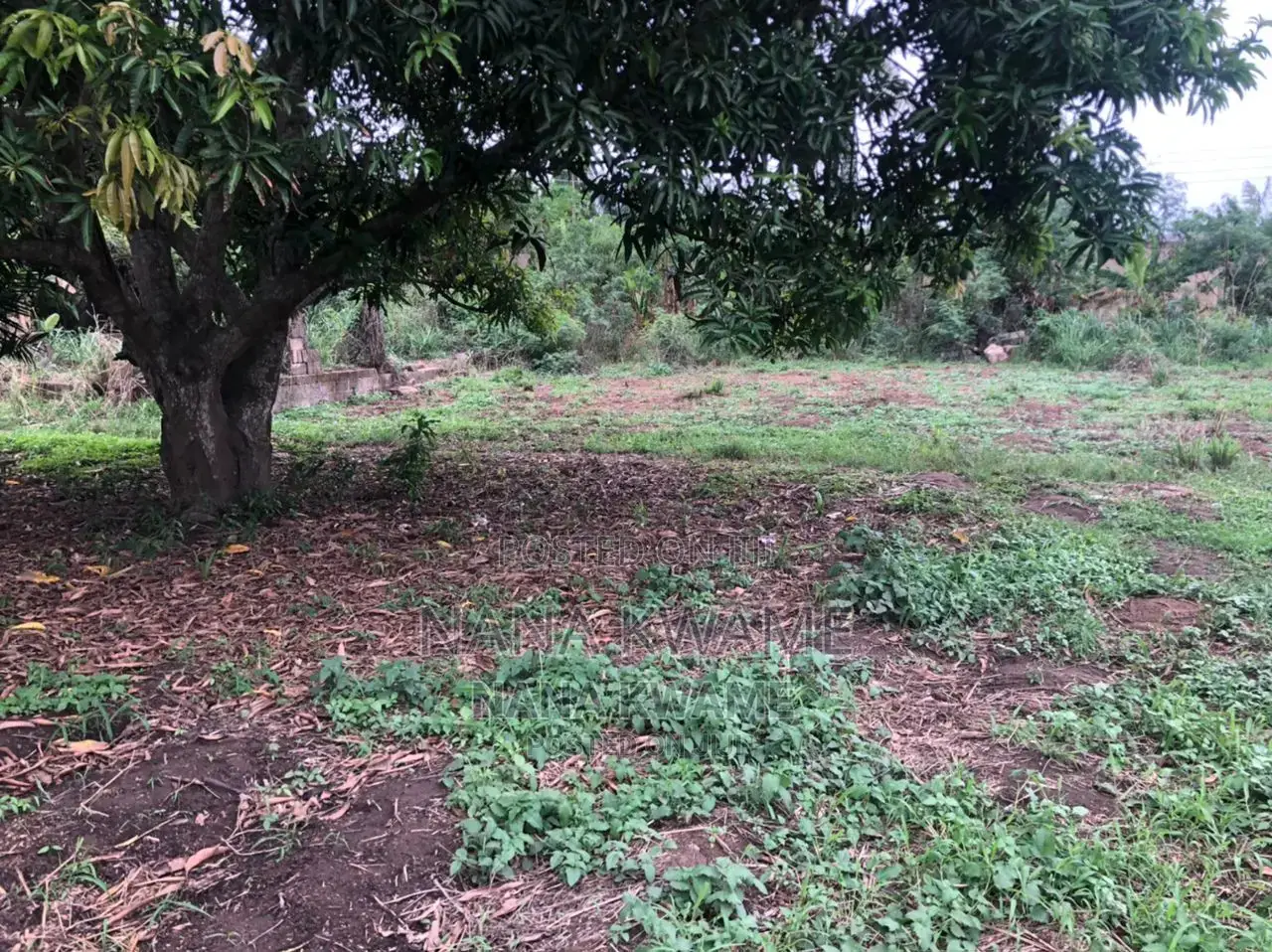 Registered 2 Plots of Land