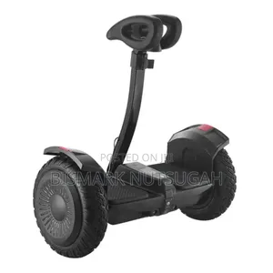 Two Wheels Big Size Electric Self-balance Scooter