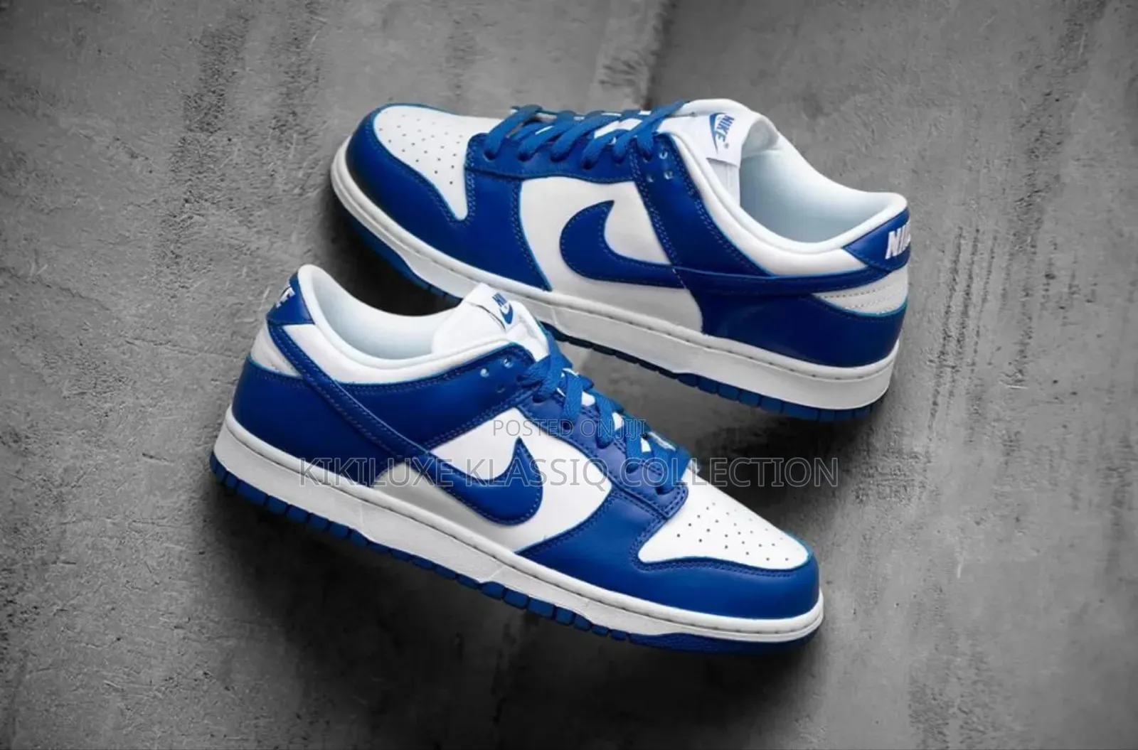 Nike Low Dunk Sneakers