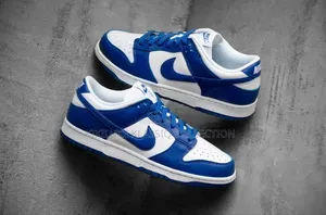 Nike Low Dunk Sneakers