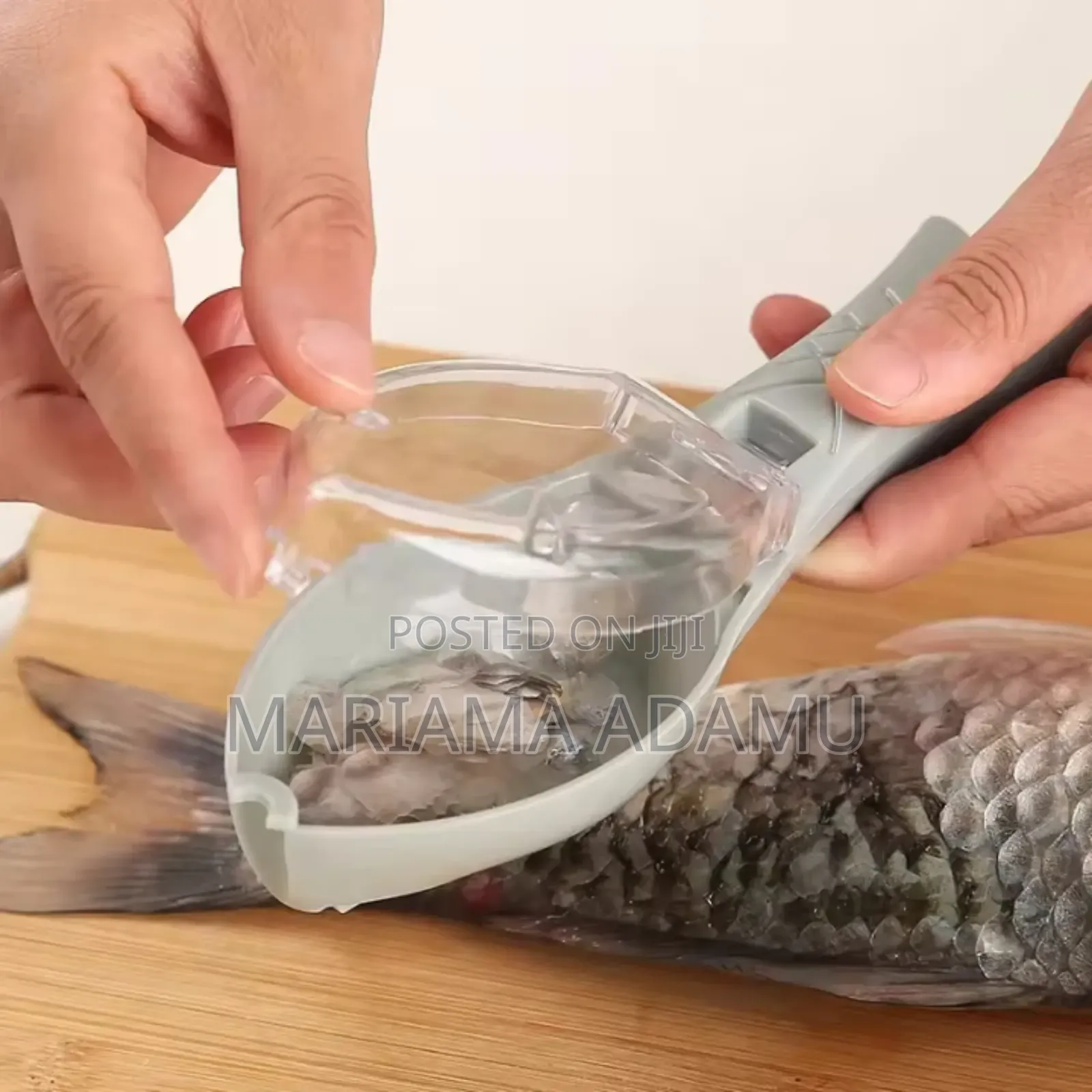 Fish Poachers
