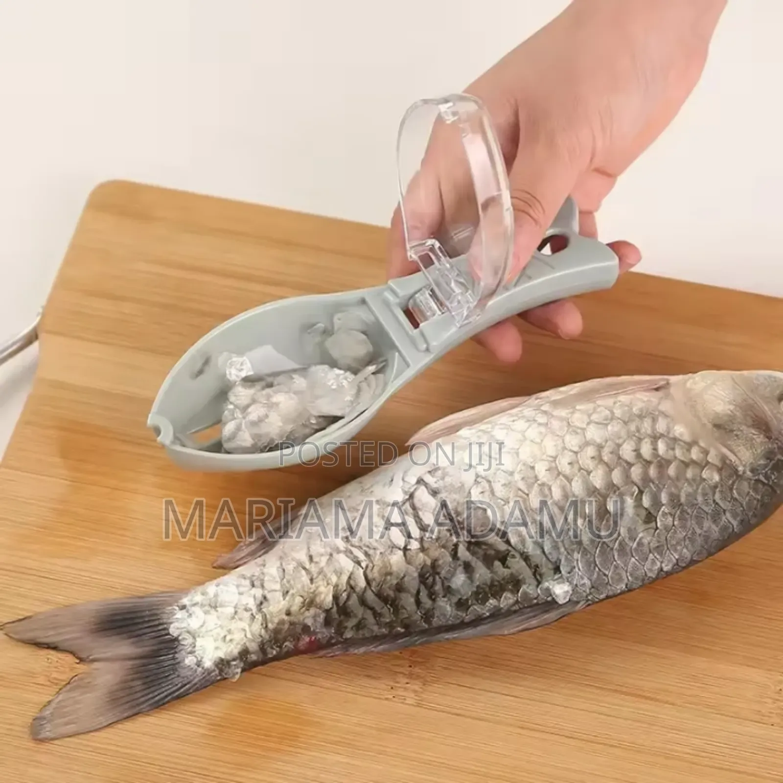 Fish Poachers